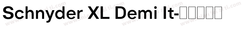 Schnyder XL Demi It字体转换